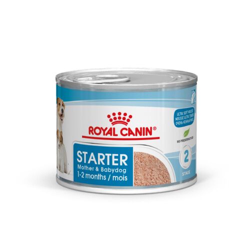 195 g Royal Canin Starter Mommy & Baby mousse latas para c&atilde;es, , large Imagem n&uacute;mero 2